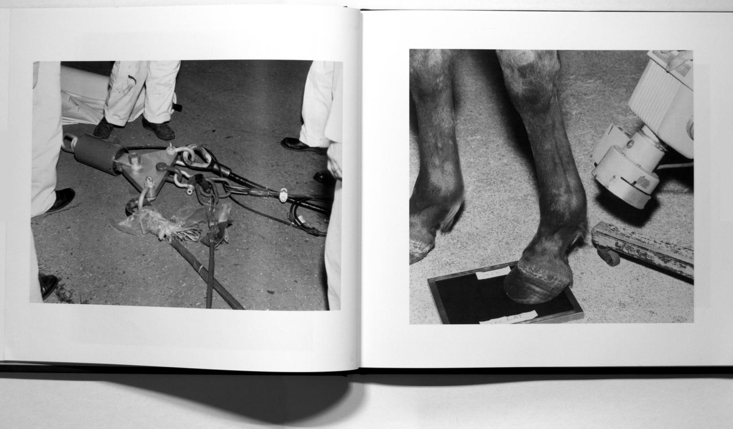 MPRL | Photo-Objects | Reflections on the Archive